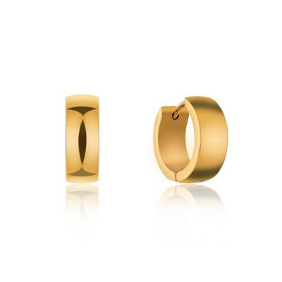 Lize Gold Hoop Earrings