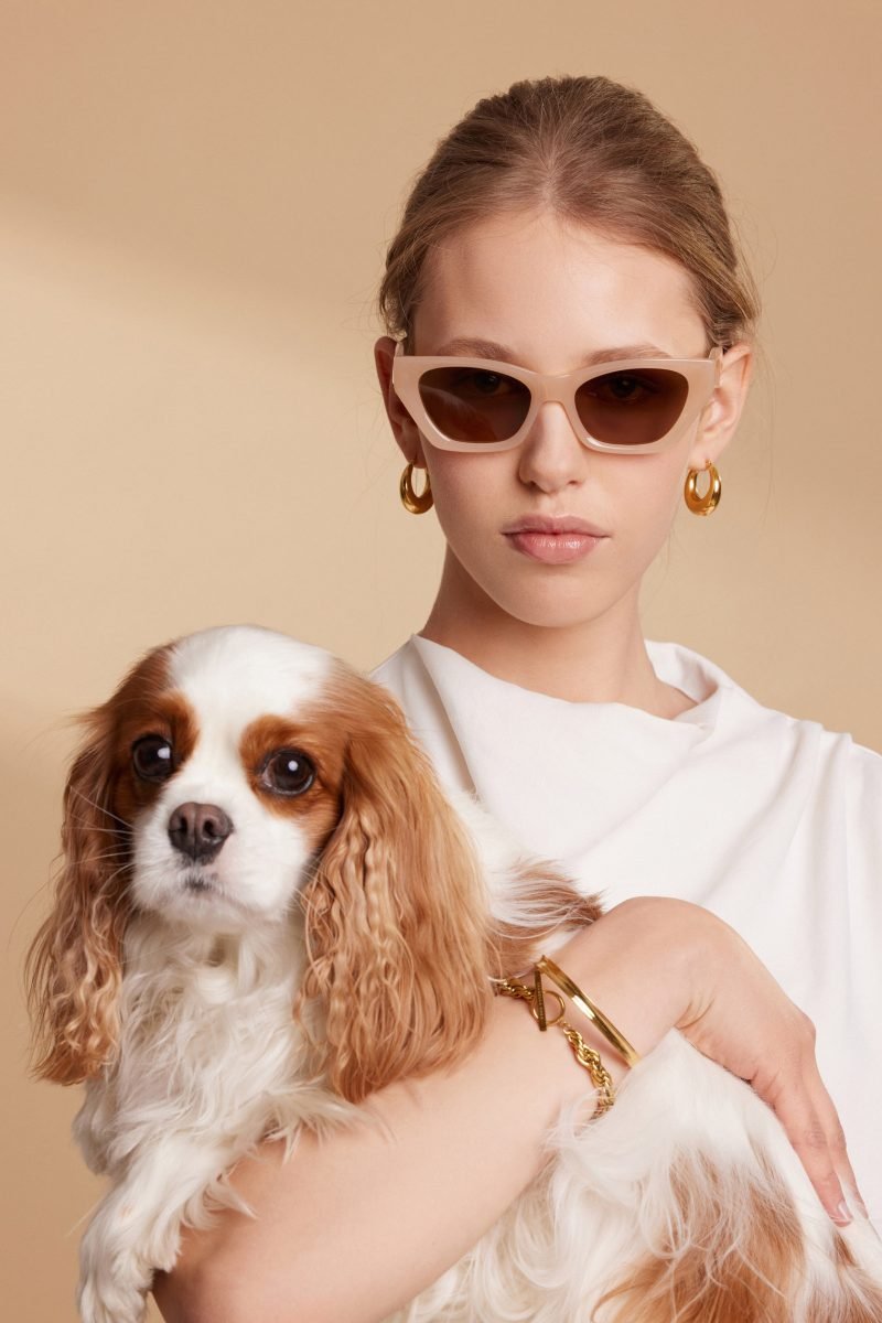 CATWALK CHAMPAGNE - Image 4